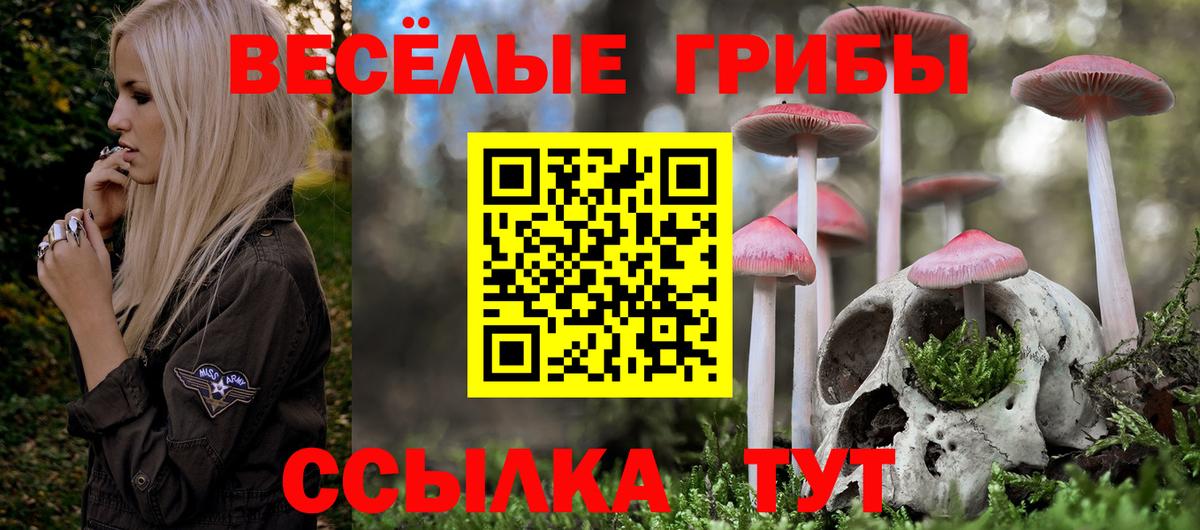 Орёл  хочу   Вход с VPN  Галлюциногенные грибы Cubensis 
